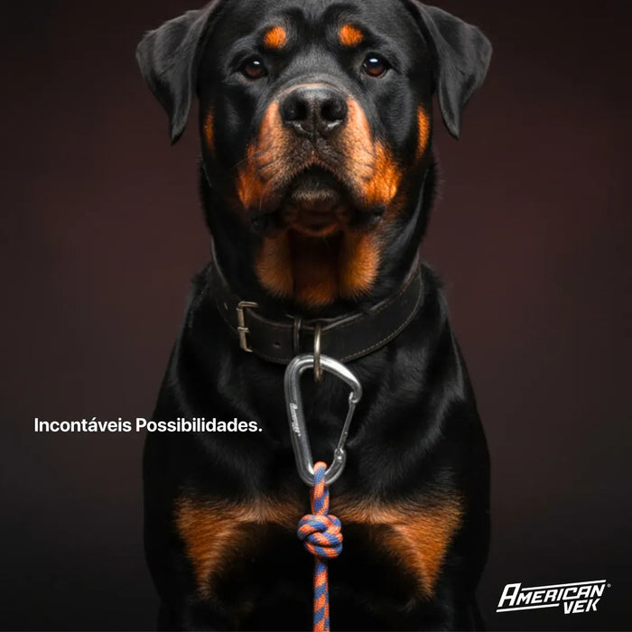 Kit 02 - Mosquetão de Alumínio Fosco com Trava 12kN - 80mm - Acessório, Mochilas, Chaveiro