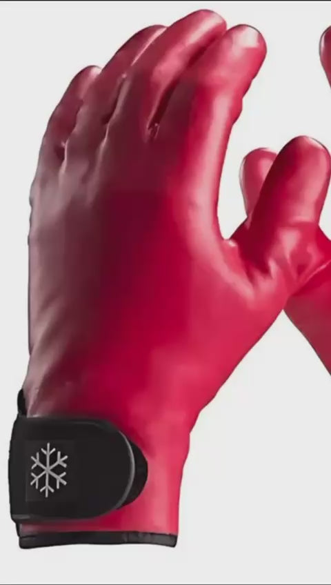 Luva de Proteção Térmica para Baixa Temperatura DA23600 - Danny | CA37935